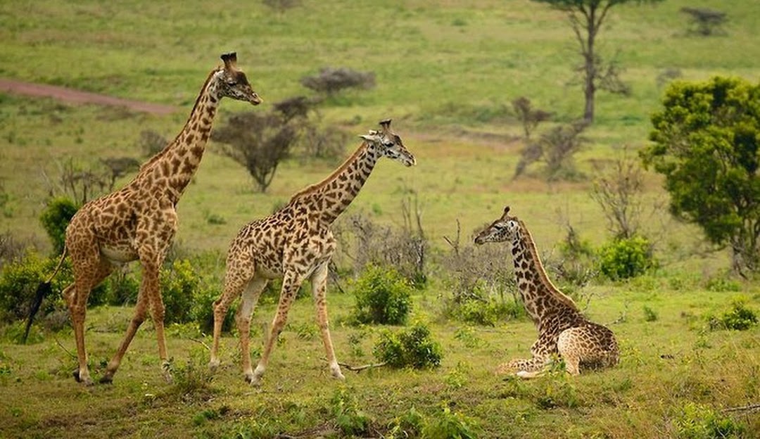 Arusha National Park
